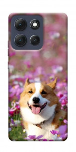Чохол Коргі в квітах для Motorola Moto G86 Power