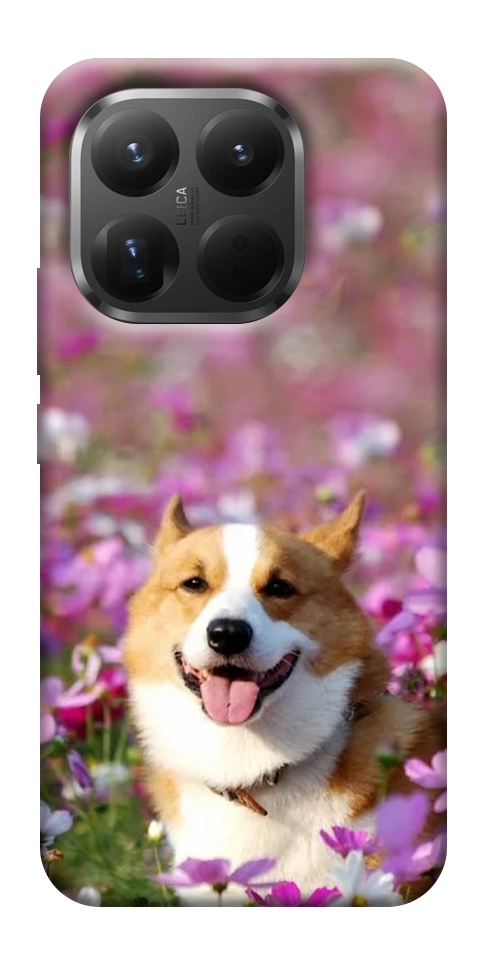 Чехол Корги в цветах для Xiaomi 15T Pro