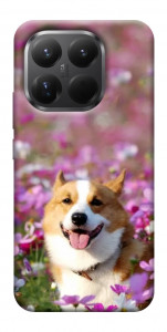Чехол Корги в цветах для Xiaomi 15T Pro