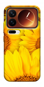 Чехол Букет подсолнухов для Xiaomi 17 Pro