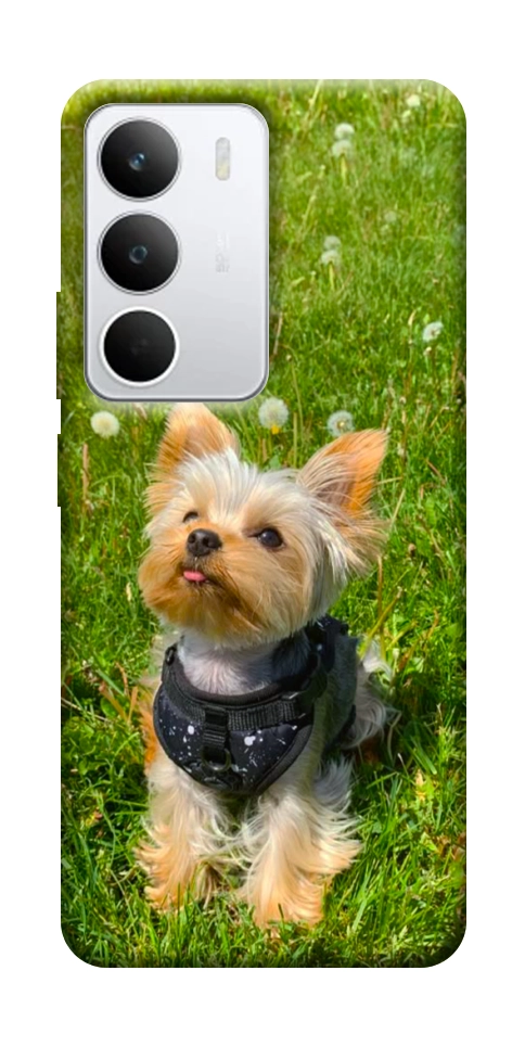 Чехол Йорк в траве для Realme C71