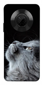 Чехол Cute cat для Huawei Y9a