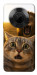 Чехол Shocked cat and lion для Huawei Y9a