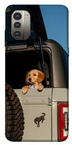 Чохол Dog in the car для Nokia G11