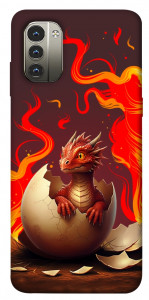Чохол Fire dragon для Nokia G11