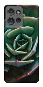 Чехол Эхеверия для Motorola Edge 50
