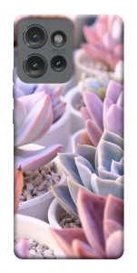 Чехол Эхеверия 2 для Motorola Edge 50