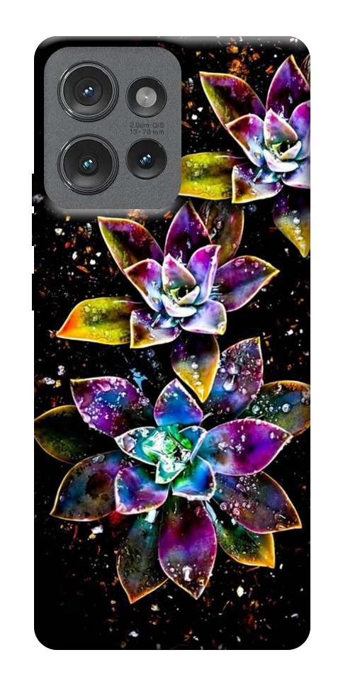 Чохол Flowers on black для Motorola Edge 50