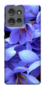 Чехол Фиолетовый сад для Motorola Edge 50