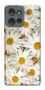 Чехол Chamomile для Motorola Edge 50