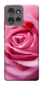 Чехол Pink bud для Motorola Edge 50