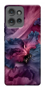 Чехол Насекомое для Motorola Edge 50
