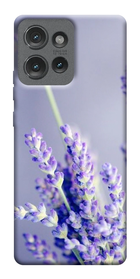 Чохол Лаванда для Motorola Edge 50