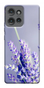 Чехол Лаванда для Motorola Edge 50