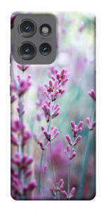 Чехол Лаванда 2 для Motorola Edge 50