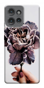 Чехол Гвоздика для Motorola Edge 50