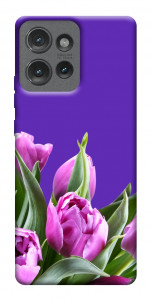 Чехол Тюльпаны для Motorola Edge 50