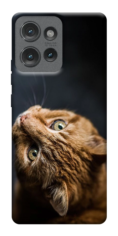 Чехол Рыжий кот для Motorola Edge 50