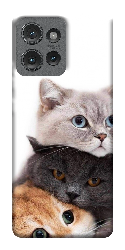 Чехол Три кота для Motorola Edge 50
