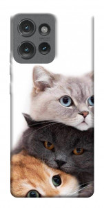 Чехол Три кота для Motorola Edge 50