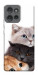 Чехол Три кота для Motorola Edge 50