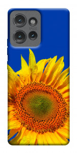 Чехол Sunflower для Motorola Edge 50
