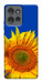 Чехол Sunflower для Motorola Edge 50