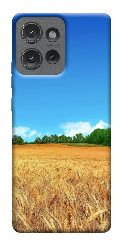 Чехол Пшеничное поле для Motorola Edge 50