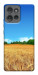 Чехол Пшеничное поле для Motorola Edge 50