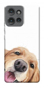 Чехол Funny dog для Motorola Edge 50
