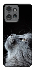 Чехол Cute cat для Motorola Edge 50