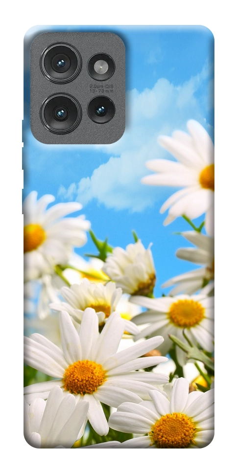 Чехол Ромашковое поле для Motorola Edge 50