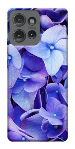Чехол Гортензия для Motorola Edge 50