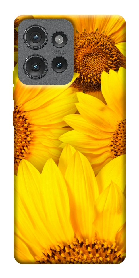 Чехол Букет подсолнухов для Motorola Edge 50