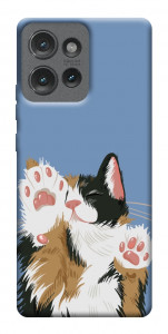 Чехол Funny cat для Motorola Edge 50