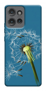 Чехол Air dandelion для Motorola Edge 50