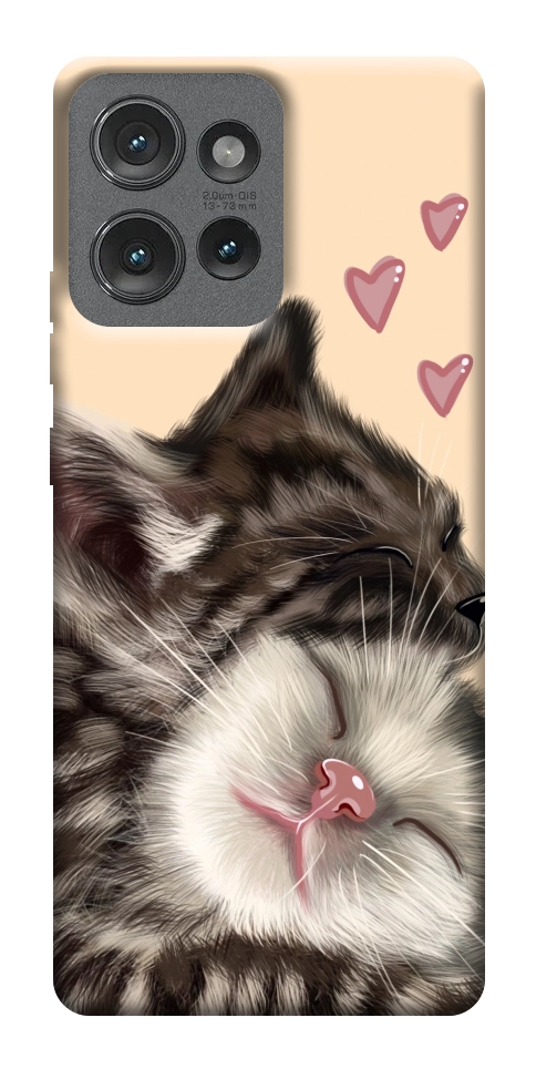 Чехол Cats love для Motorola Edge 50