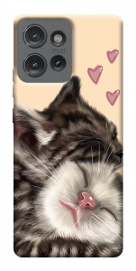 Чехол Cats love для Motorola Edge 50
