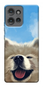 Чехол Samoyed husky для Motorola Edge 50