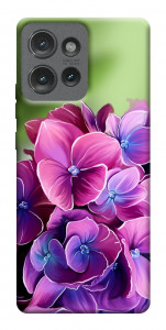 Чехол Кружевная гортензия для Motorola Edge 50