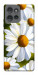 Чехол Ароматная ромашка для Motorola Edge 50