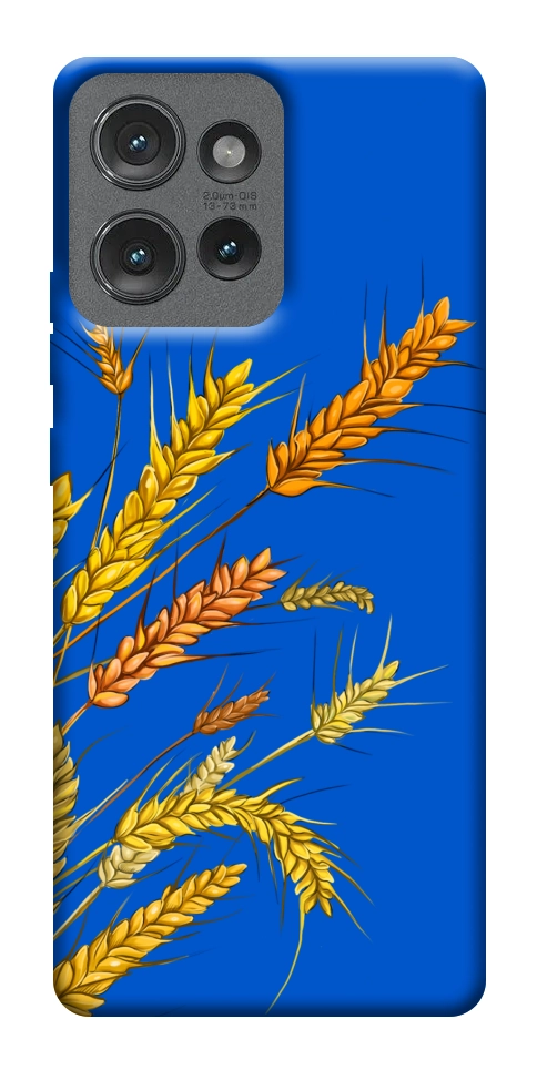 Чехол Колоски для Motorola Edge 50
