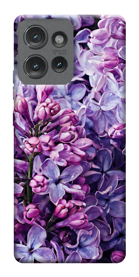 Чехол Violet blossoms для Motorola Edge 50