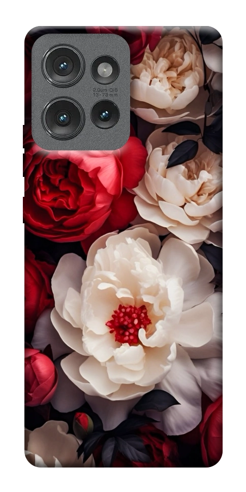 Чехол Velvet roses для Motorola Edge 50