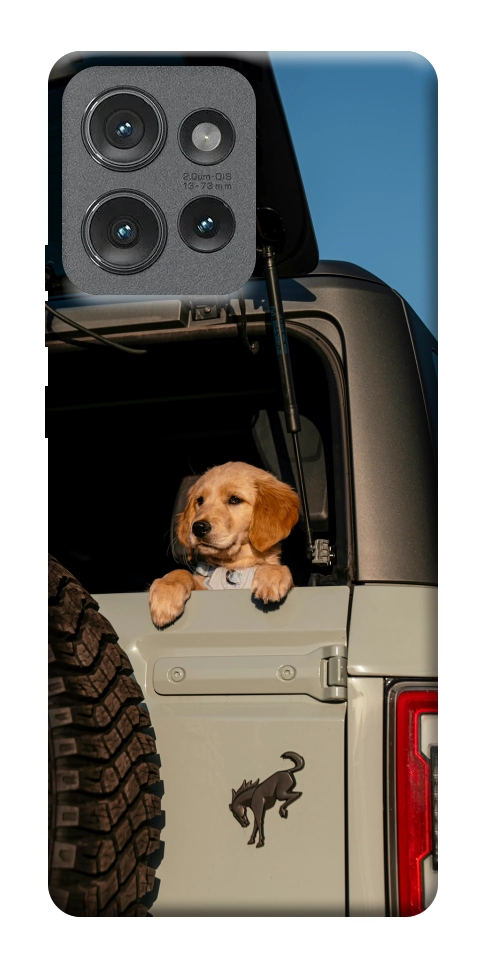 Чехол Dog in the car для Motorola Edge 50