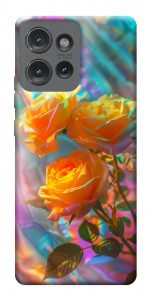 Чохол Golden rose для Motorola Edge 50