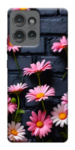 Чохол Рожевий контраст для Motorola Edge 50