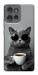 Чехол Grey cat coffee для Motorola Edge 50