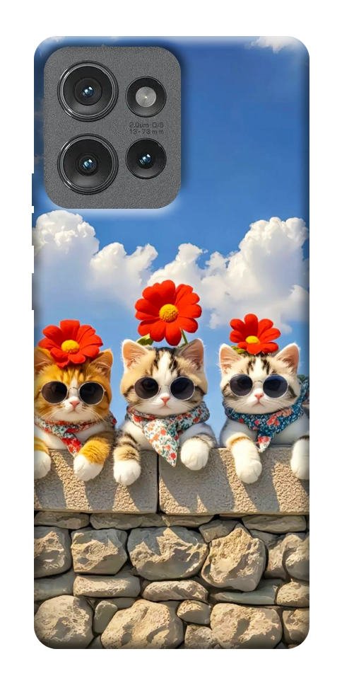 Чехол Flower cats для Motorola Edge 50