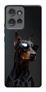Чохол Cool doberman для Motorola Edge 50